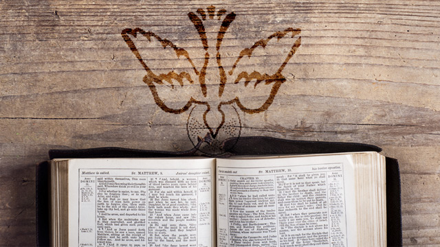 Lectio Divina
Guided Scripture Readings
